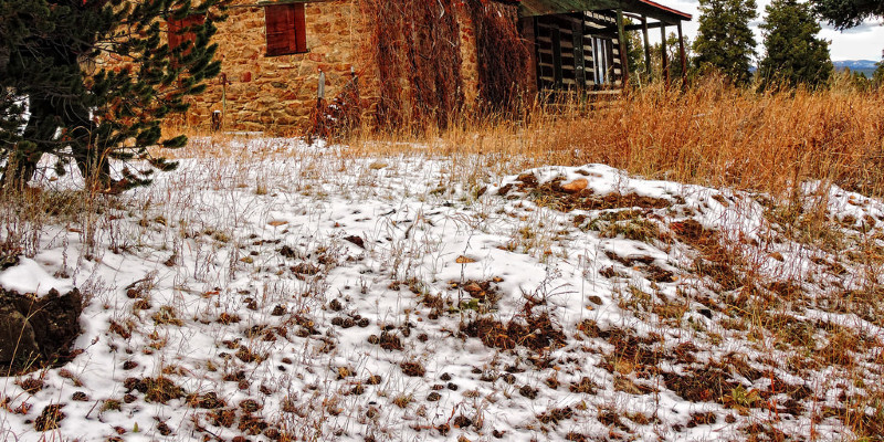 1960s Ranch Redo at Denver