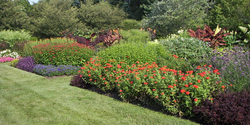 Reproduction of all Seedless Fruit Trees